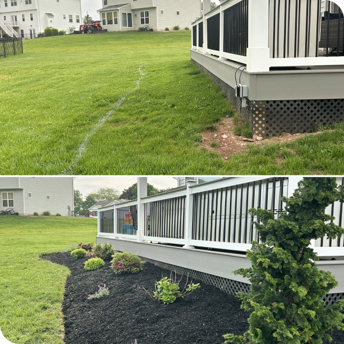 backyard with fence