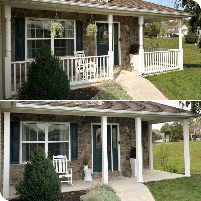 trimmed hedge